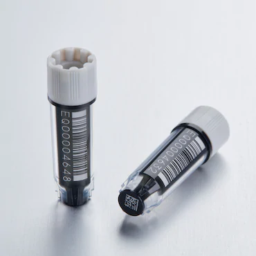 艾本德Eppendorf CryoStorage Vial，無(wú)菌, 無(wú)菌, 0.5 mL, 不含 DNase、RNase、人類(lèi) DNA 和內(nèi)毒素；外螺紋，預(yù)先加蓋灰色管蓋，帶 2D SafeCode 